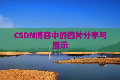 CSDN博客中的图片分享与展示
